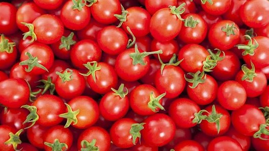 bea tte cherry.JPG